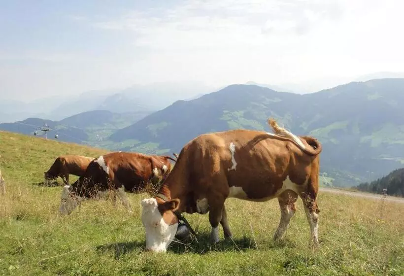 Retkeilymaja Berggasthof Schatzbergalm