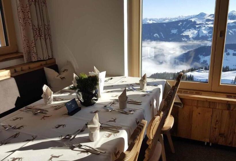 旅馆 Berggasthof Schatzbergalm