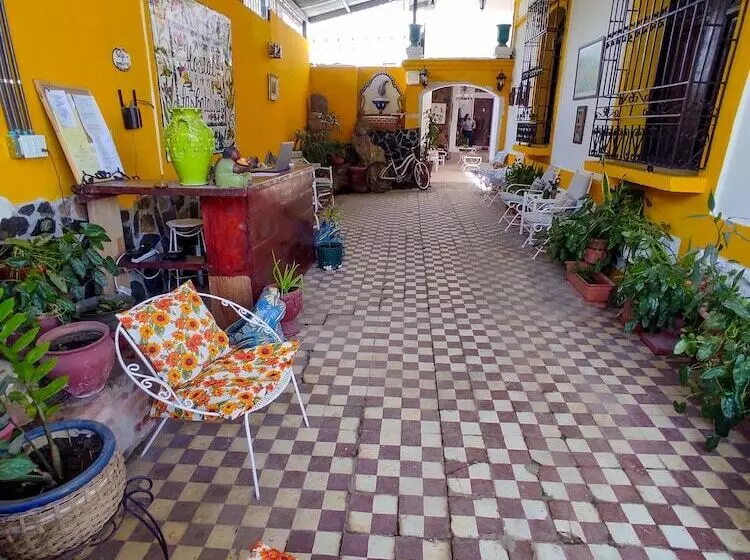 هاستل Las Catalinas Anton Panama