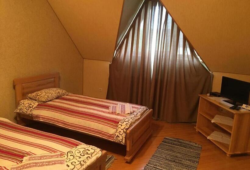 Общежитие Svitlytsia