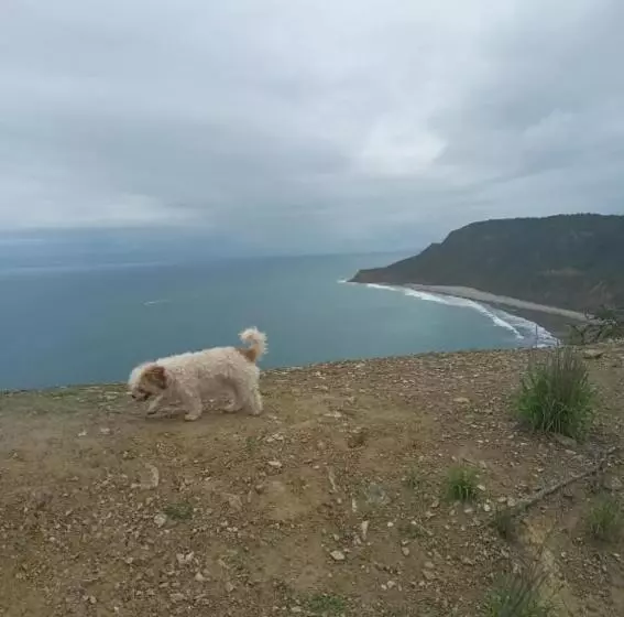 Aamiaismajoitus (B&B) The Lookout Beach