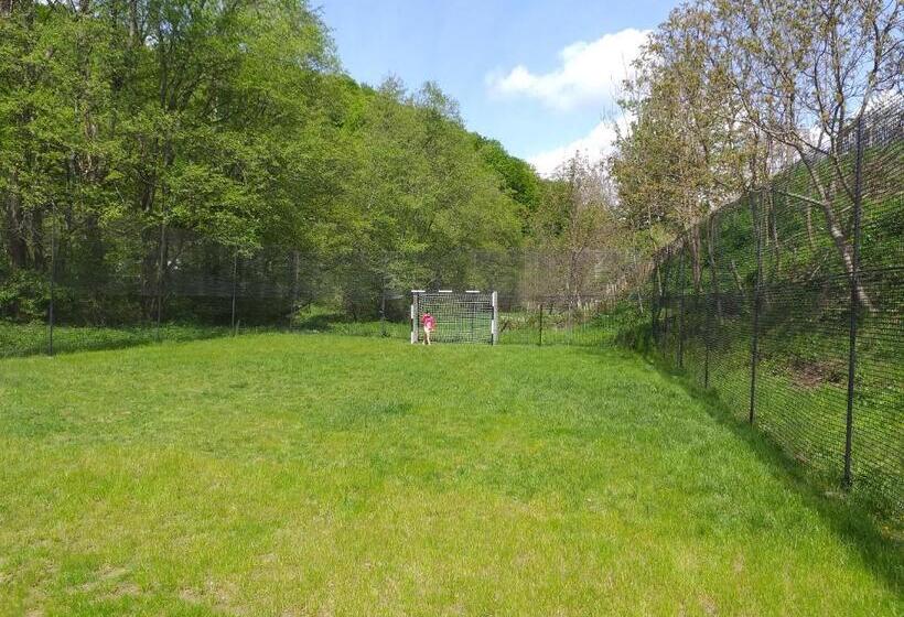 호텔 Pensiunea Eden