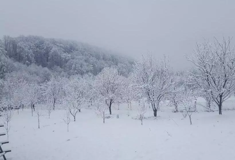 هتل Pensiunea Eden