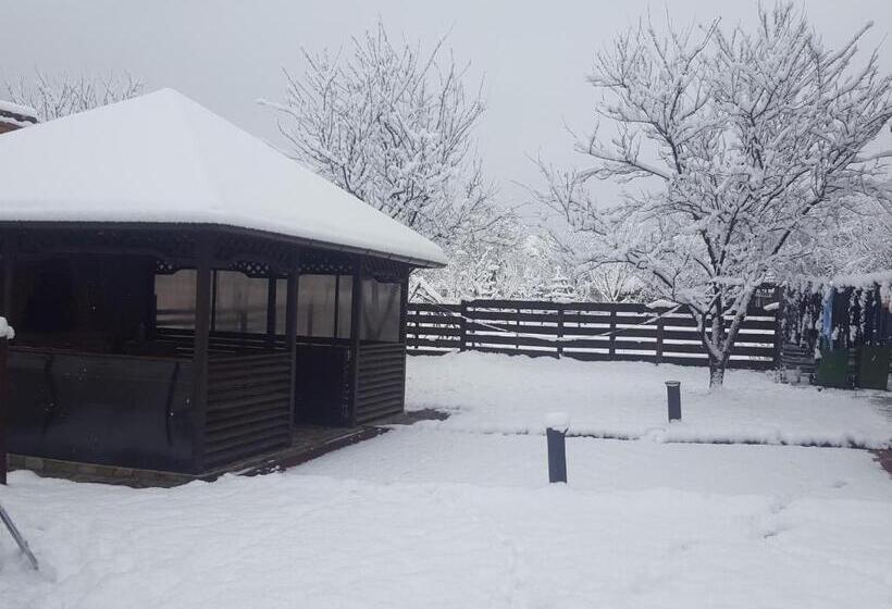 호텔 Pensiunea Eden