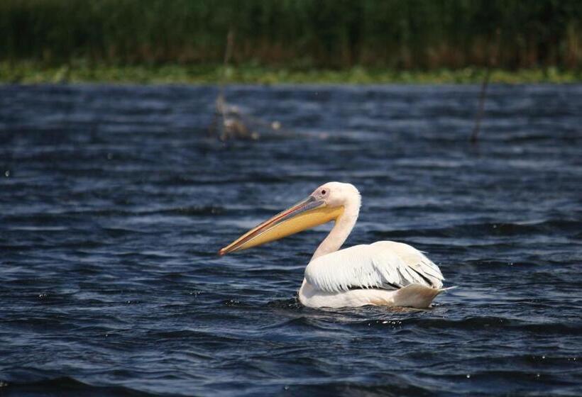 פנסיון Casa Victoria