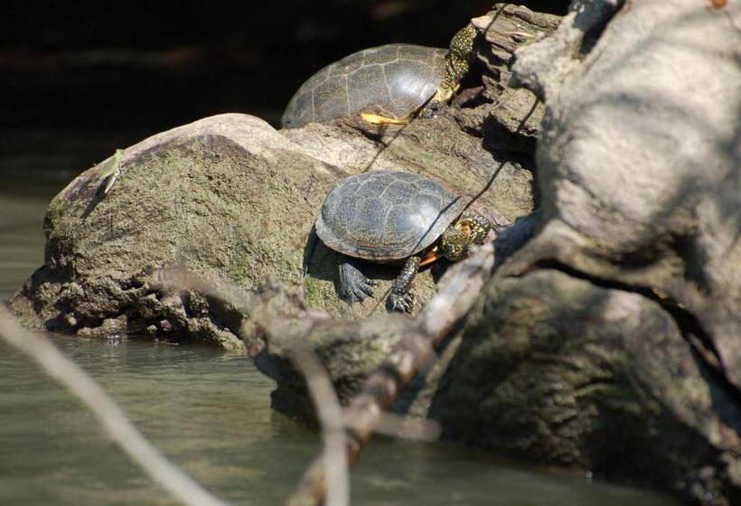 פנסיון Casa Victoria