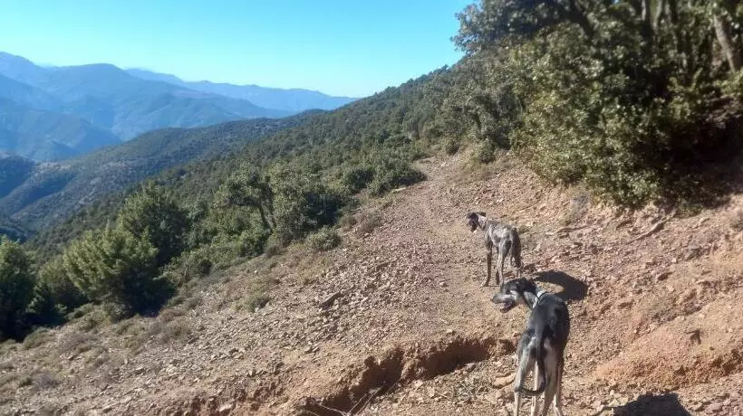 Majatalo Chez Yahia, Au Coeur De L Ourika