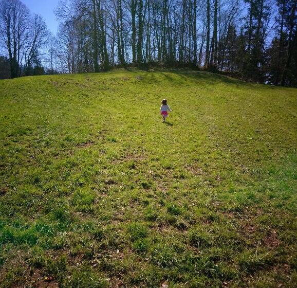 ペンション Gasthaus Krone