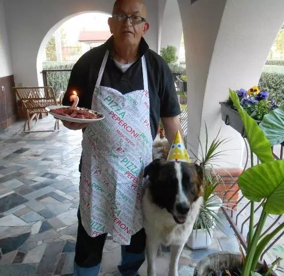 Majatalo Guest House Marketti