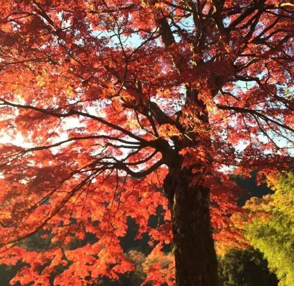 Majatalo Otsu Nature Garden