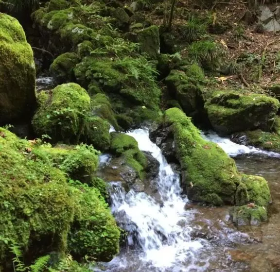 Majatalo Otsu Nature Garden
