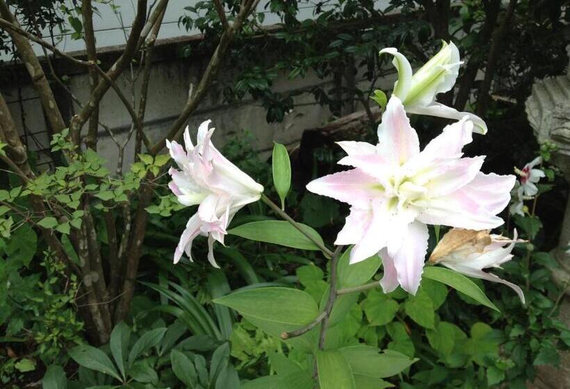 بنسيون Otsu Nature Garden