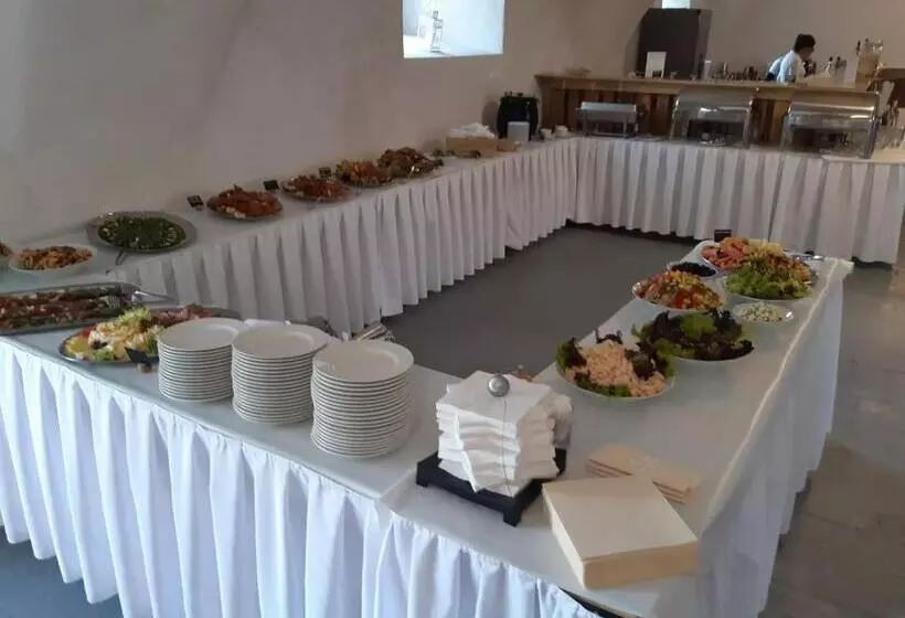 Majatalo Zámecký Dvůr černousy