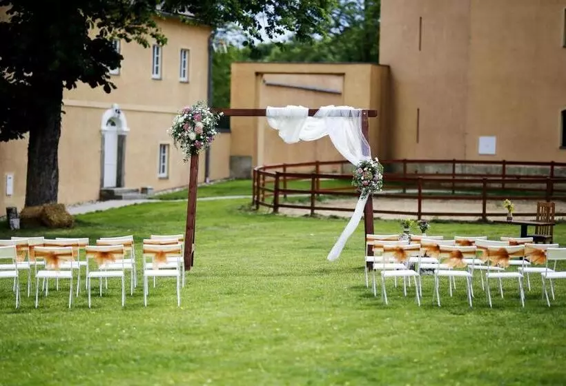 Majatalo Zámecký Dvůr černousy