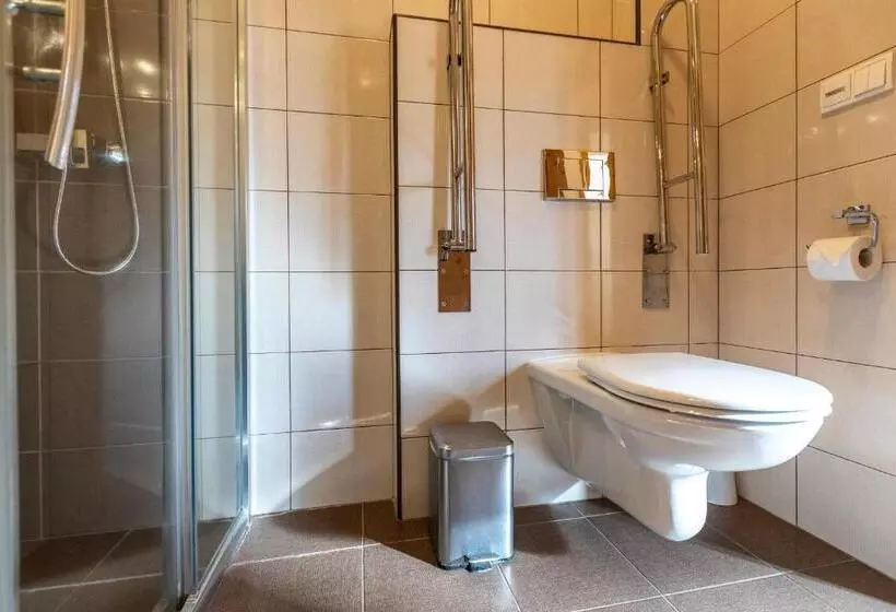 Majatalo Zámecký Dvůr černousy