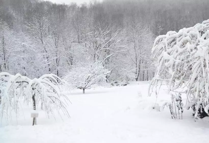 Hotelli Belle Royalle