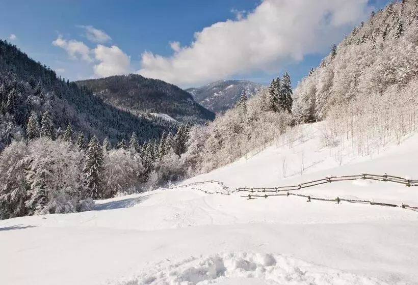 Hotelli Gasthof Mauthäusl