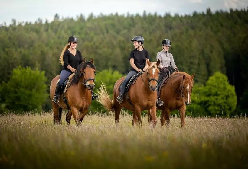 Hotelli Landpension Pferdekoppel   B&b   Self Checkin