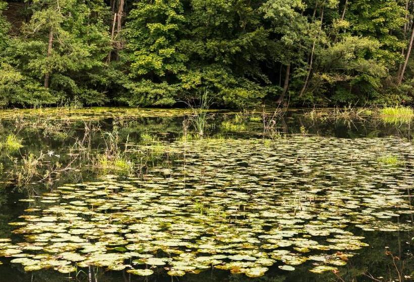 בית מלון כפרי Waldesruh Am See