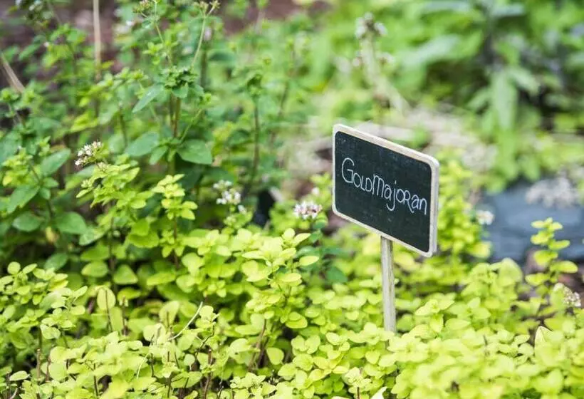 Hotelli Waldesruh Am See