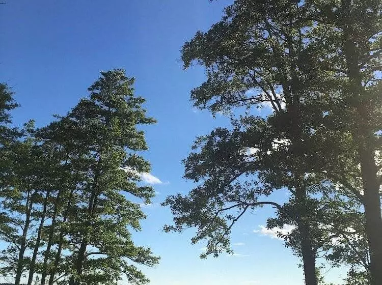 ホテル Wiks Slott