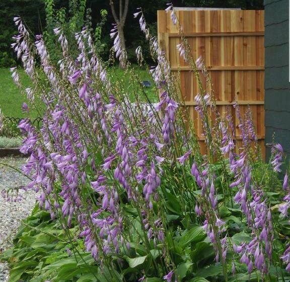 Julian S English Homestay And Pension