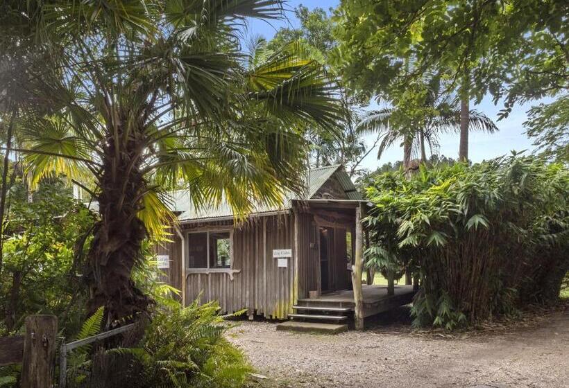 Mavis's Cabins @ Mt Warning