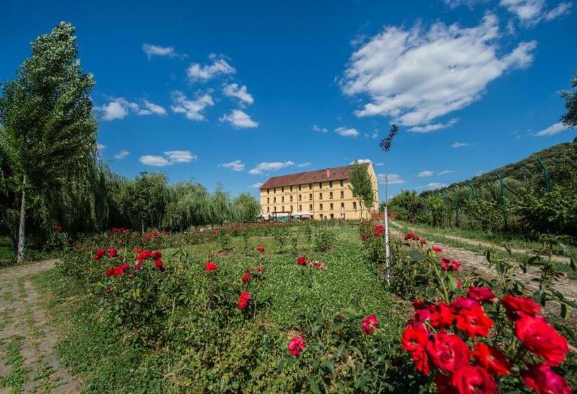 פנסיון Hanul Moara Cu Noroc