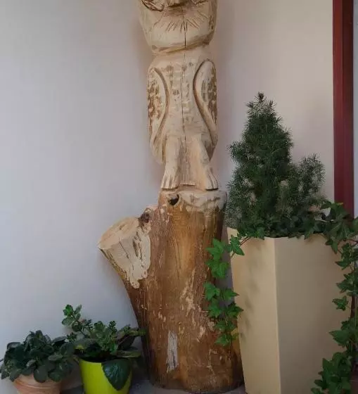 Penzión Skalná Ruža   Kövirózsa Panzió