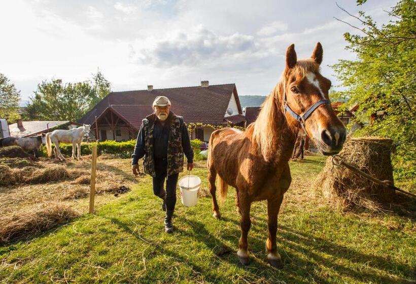 Penzión Skalná Ruža Kövirózsa Panzió
