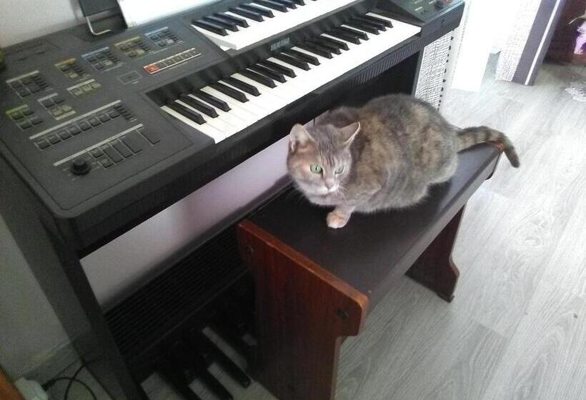 Bed and Breakfast Chambres D'hôtes Les Clématites En Cotentin