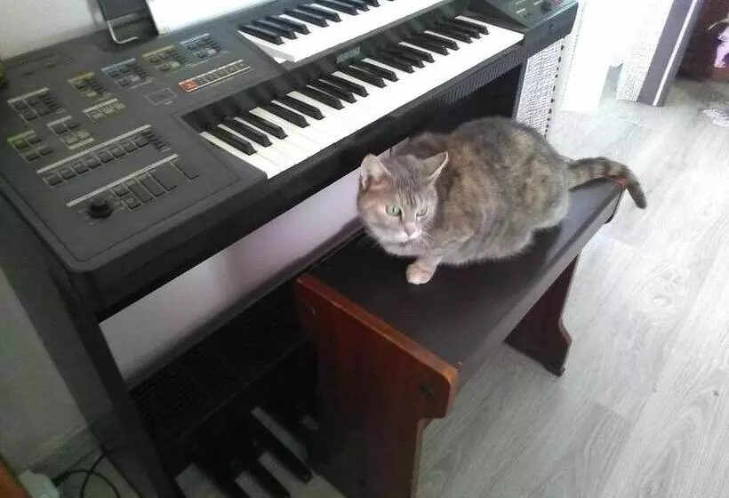 Aamiaismajoitus (B&B) Chambres D'hôtes Les Clématites En Cotentin