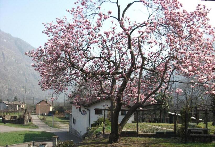 مبيت وإفطار Grotto Pergola
