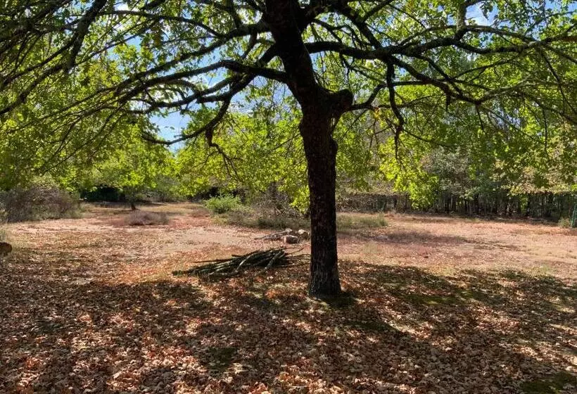 Aamiaismajoitus (B&B) Domaine De Labelo