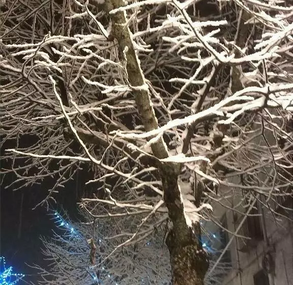 Bed & Breakfast La Dodicesima Notte