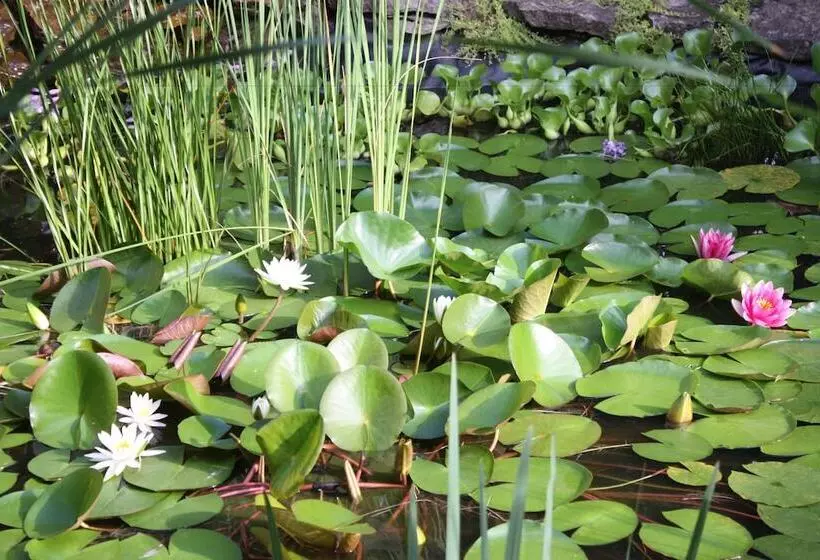 Carrousel Bed & Breakfast