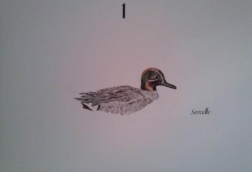 ホテル Logis Hôtel Restaurant Du Canard