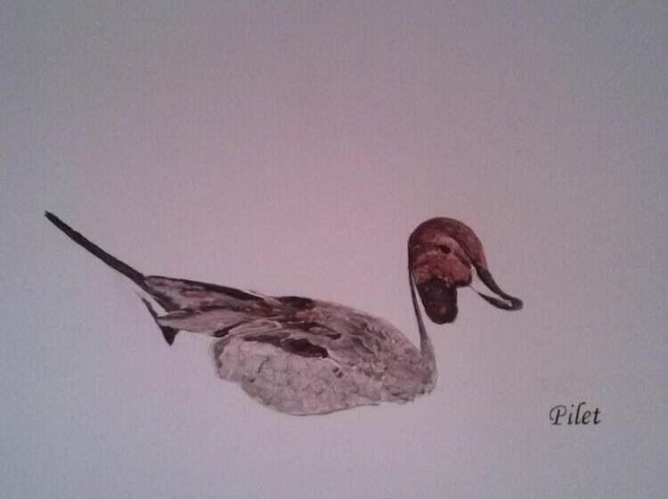 ホテル Logis Hôtel Restaurant Du Canard