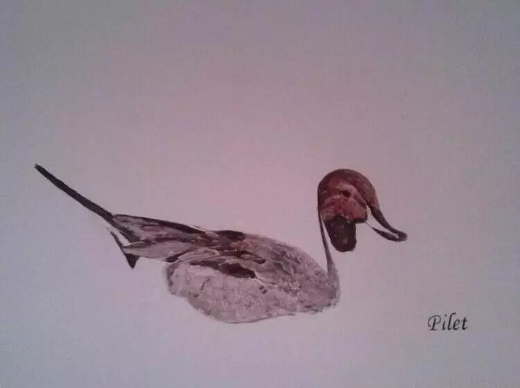 ホテル Logis   Hôtel Restaurant Du Canard