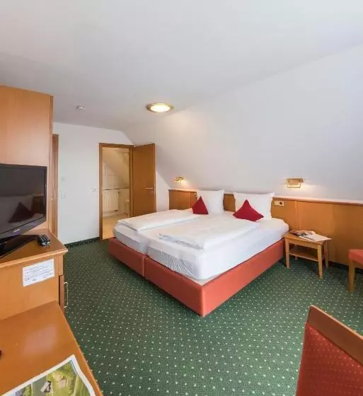 Hotelli Widmann's Löwen