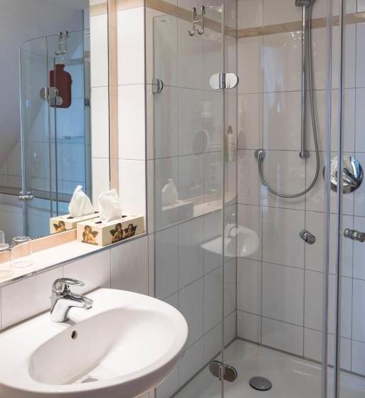 酒店 Widmann's Löwen