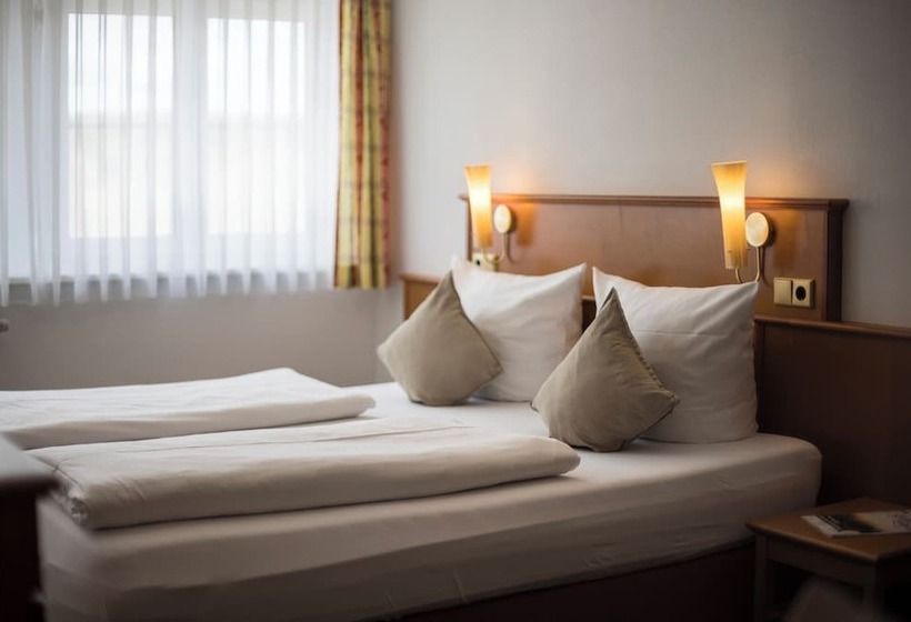 酒店 Widmann's Löwen