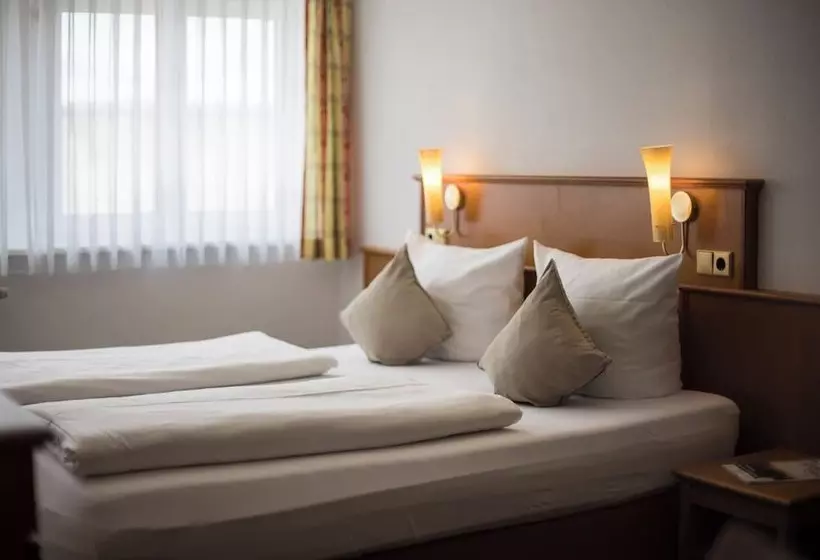 Hotelli Widmann's Löwen