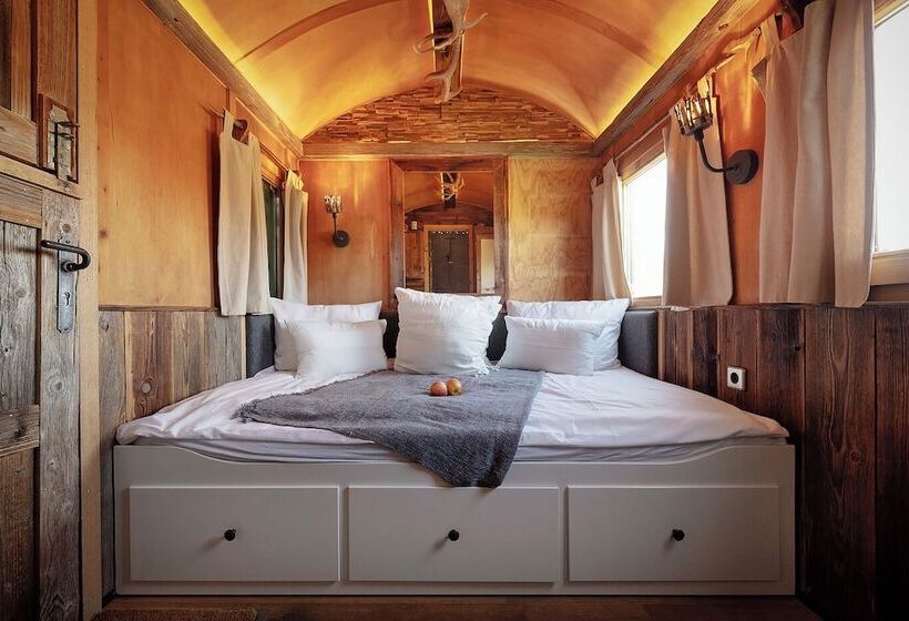 酒店 Widmann's Löwen