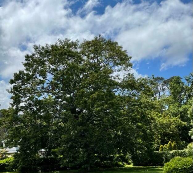 ベッドアンドブレックファースト The Old Nunnery