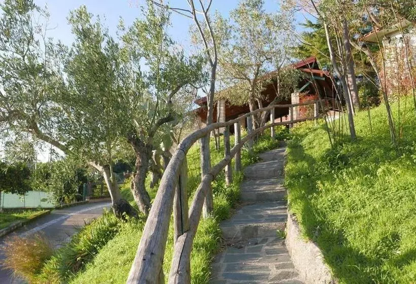 ホテル Eco Bio Agriturismo Santacinnara