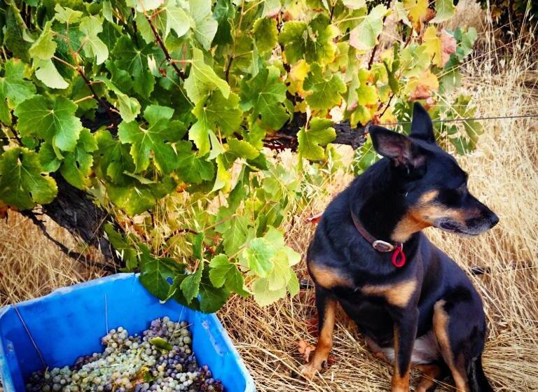 ホテル Hotham Ridge Estate