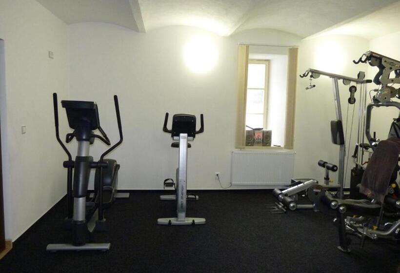 בית מלון כפרי Penzion U Houšků