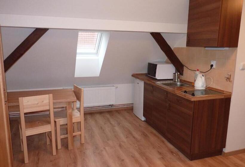 בית מלון כפרי Penzion U Houšků