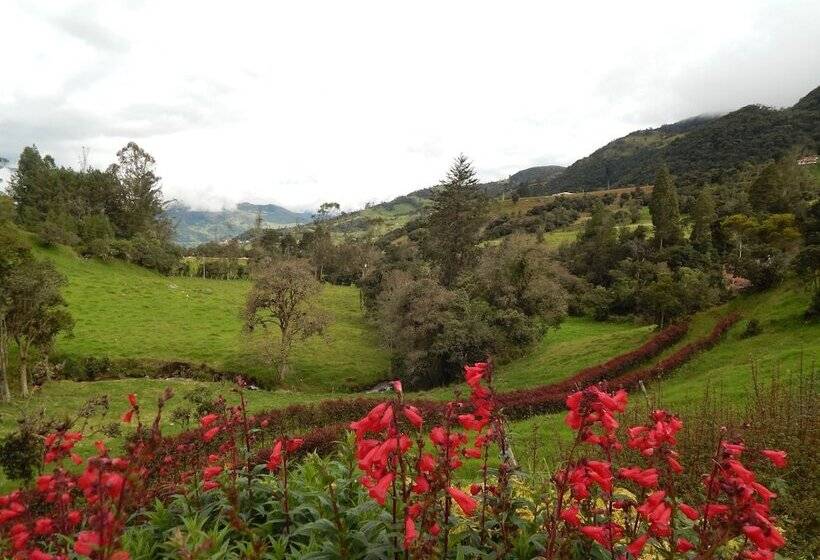 Отель Villa Del Moján